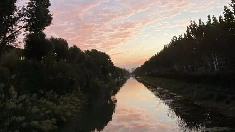 小微企业汇算清缴申报表填写指南：关键步骤与注意事项